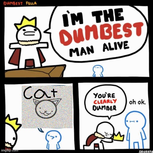 cat | oh ok. | image tagged in i'm the dumbest man alive | made w/ Imgflip meme maker