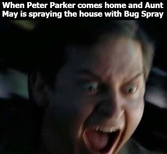 When Peter Parker comes home and Aunt May is spraying the house with Bug Spray | image tagged in prey | made w/ Imgflip meme maker