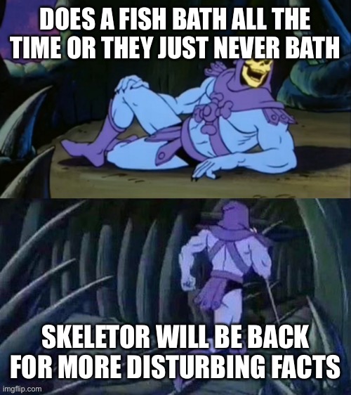 Skeletor disturbing facts | DOES A FISH BATH ALL THE TIME OR THEY JUST NEVER BATH; SKELETOR WILL BE BACK FOR MORE DISTURBING FACTS | image tagged in skeletor disturbing facts | made w/ Imgflip meme maker