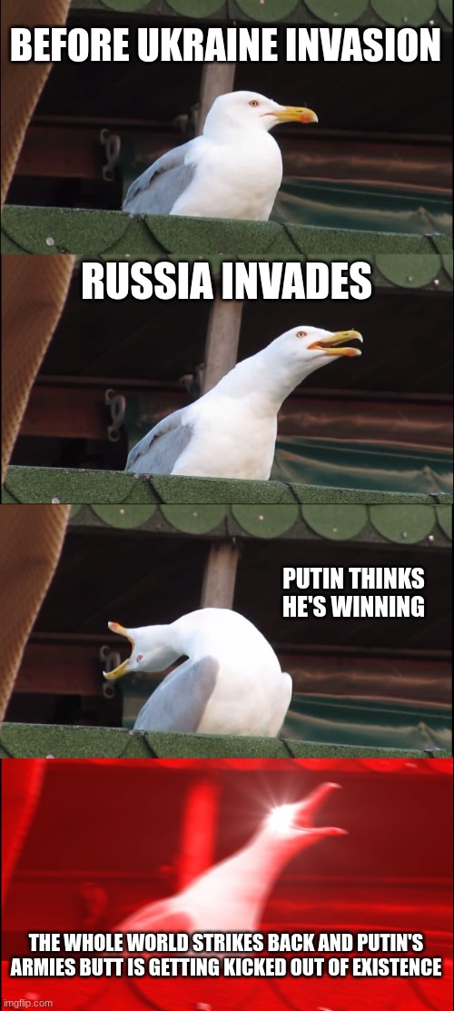 Course of the Invasion in a nut shell | BEFORE UKRAINE INVASION; RUSSIA INVADES; PUTIN THINKS HE'S WINNING; THE WHOLE WORLD STRIKES BACK AND PUTIN'S ARMIES BUTT IS GETTING KICKED OUT OF EXISTENCE | image tagged in memes,inhaling seagull | made w/ Imgflip meme maker