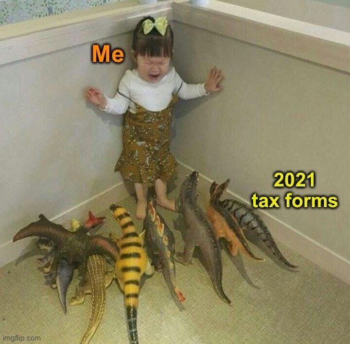 I think I need professional help this year. | image tagged in funny memes,taxes | made w/ Imgflip meme maker