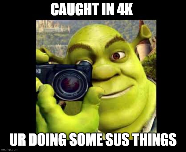 hi | CAUGHT IN 4K; UR DOING SOME SUS THINGS | image tagged in shrek taking a photo meme,caught in the act | made w/ Imgflip meme maker