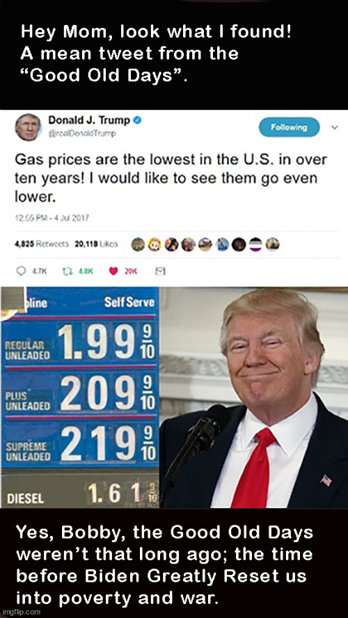 Hey Mom, look what I found! A mean tweet from the Good Old Days before Biden's poverty and war. | image tagged in memes,politics,gas prices | made w/ Imgflip meme maker
