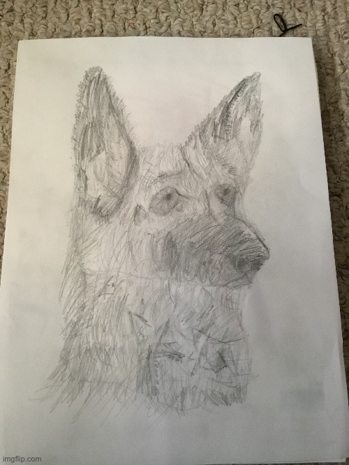 Drew this in about 2 hours and 20 minutes | image tagged in dog | made w/ Imgflip meme maker