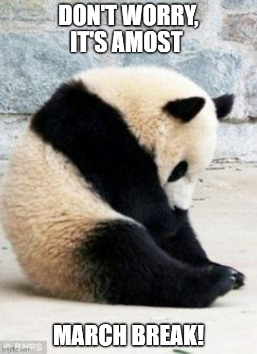 Sad Panda | DON'T WORRY, IT'S AMOST; MARCH BREAK! | image tagged in sad panda | made w/ Imgflip meme maker