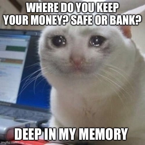 Why…am i poor | WHERE DO YOU KEEP YOUR MONEY? SAFE OR BANK? DEEP IN MY MEMORY | image tagged in crying cat | made w/ Imgflip meme maker