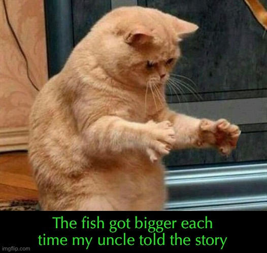 I caught a trout and it was THIS big | The fish got bigger each time my uncle told the story | image tagged in funny memes,funny cat memes | made w/ Imgflip meme maker