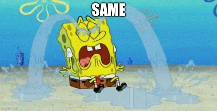 sad crying spongebob | SAME | image tagged in sad crying spongebob | made w/ Imgflip meme maker