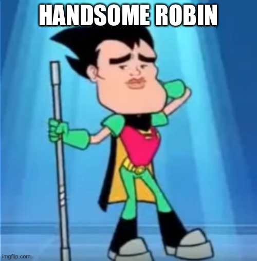Handsome Robin |  HANDSOME ROBIN | image tagged in robin,handsome robin,ttg,teen titans go | made w/ Imgflip meme maker