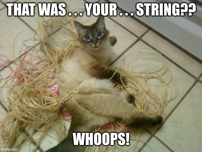 strings! yay | THAT WAS . . . YOUR . . . STRING?? WHOOPS! | image tagged in funny cat memes,cat messing with string | made w/ Imgflip meme maker