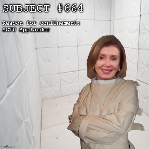 padded Pelosi | SUBJECT #664; Reason for confinement:
SOTU Applauder | image tagged in padded pelosi | made w/ Imgflip meme maker