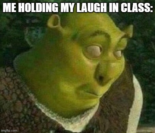 bruh | ME HOLDING MY LAUGH IN CLASS: | image tagged in oops shrek | made w/ Imgflip meme maker