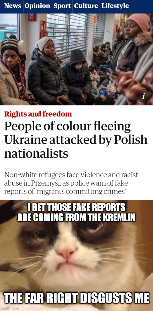 I BET THOSE FAKE REPORTS ARE COMING FROM THE KREMLIN; THE FAR RIGHT DISGUSTS ME | image tagged in disapproving grumpy cat,black lives matter,ukrainian lives matter,far right scum | made w/ Imgflip meme maker