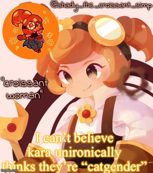 like please | I can’t believe kara unironically thinks they’re “catgender” | image tagged in yet another croissant woman temp thank syoyroyoroi | made w/ Imgflip meme maker