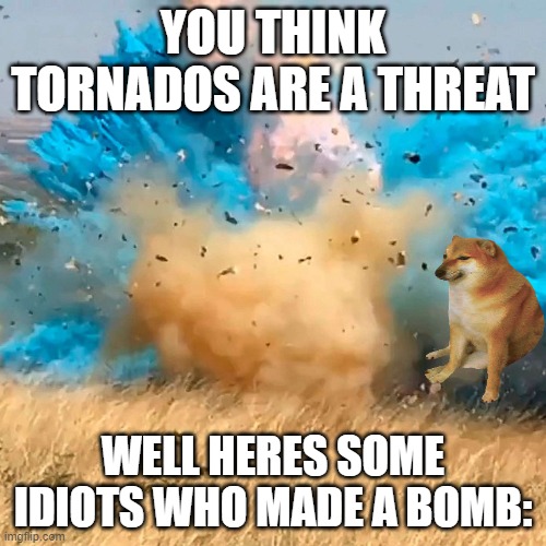 Idiots making bombs | YOU THINK TORNADOS ARE A THREAT; WELL HERES SOME IDIOTS WHO MADE A BOMB: | image tagged in gender reveal | made w/ Imgflip meme maker