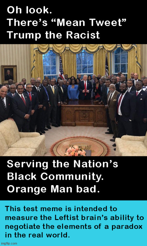 Oh look there's the mean tweet Trump racist guy doing good for the Nation's Blac Community. | image tagged in memes,politics | made w/ Imgflip meme maker