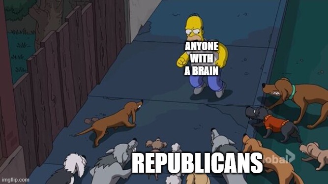 It's true | ANYONE WITH A BRAIN; REPUBLICANS | image tagged in homer being chased by dogs,memes,political meme,donald trump is an idiot | made w/ Imgflip meme maker