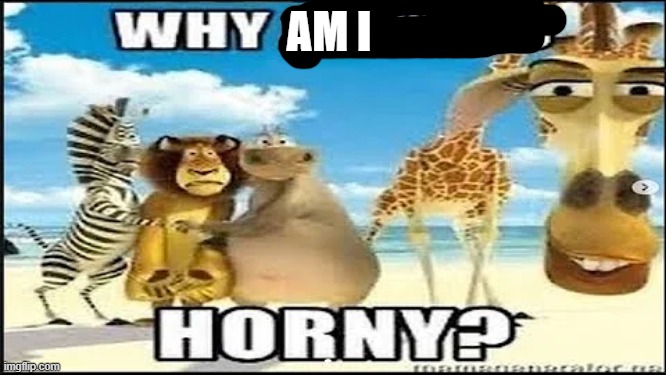 why are you horny | AM I | image tagged in why are you horny | made w/ Imgflip meme maker