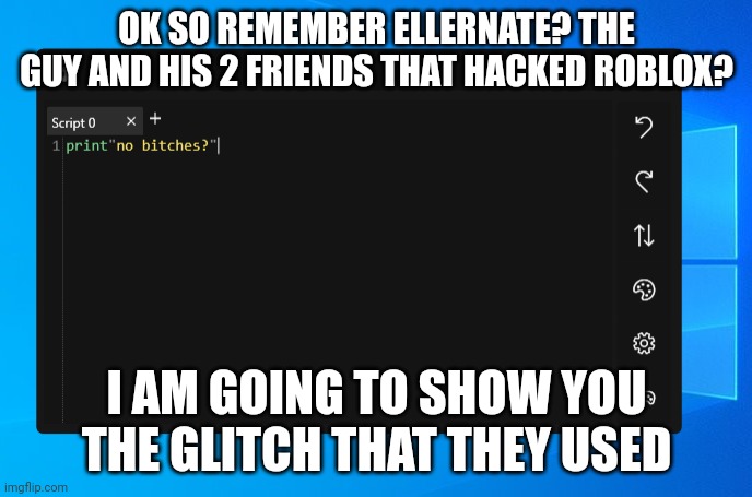no bitches? | OK SO REMEMBER ELLERNATE? THE GUY AND HIS 2 FRIENDS THAT HACKED ROBLOX? I AM GOING TO SHOW YOU THE GLITCH THAT THEY USED | image tagged in no bitches | made w/ Imgflip meme maker