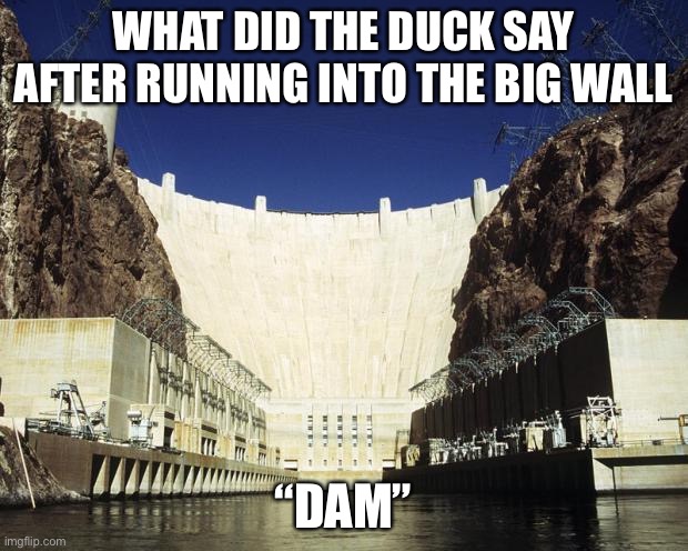 Hoover Dam | WHAT DID THE DUCK SAY AFTER RUNNING INTO THE BIG WALL; “DAM” | image tagged in hoover dam | made w/ Imgflip meme maker