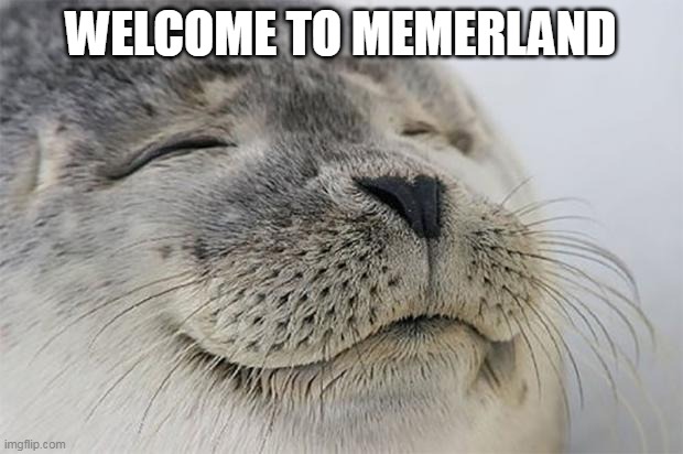 welcome memers :) | WELCOME TO MEMERLAND | image tagged in memes,satisfied seal | made w/ Imgflip meme maker