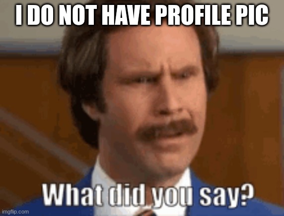 What the What | I DO NOT HAVE PROFILE PIC | image tagged in wait what | made w/ Imgflip meme maker