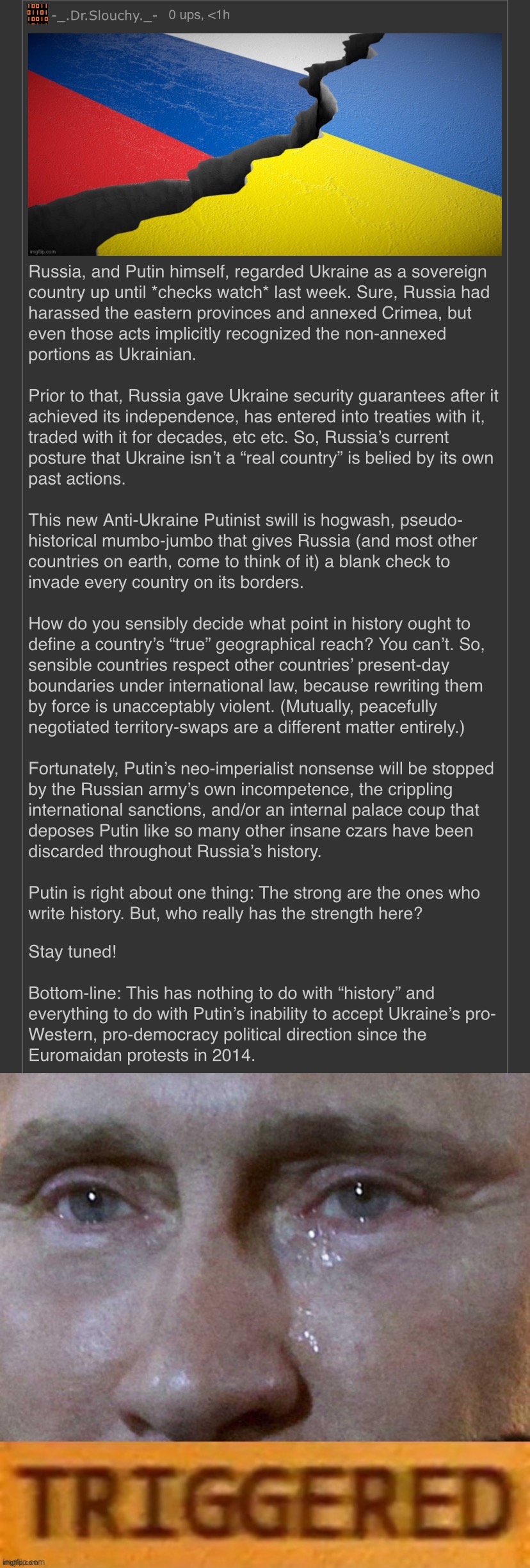 Debunking Putin’s historical-revisionist nonsense about borders, etc. | image tagged in dr slouchy roast russia ukraine war,putin triggered,vladimir putin,putin,ukraine,ukrainian lives matter | made w/ Imgflip meme maker