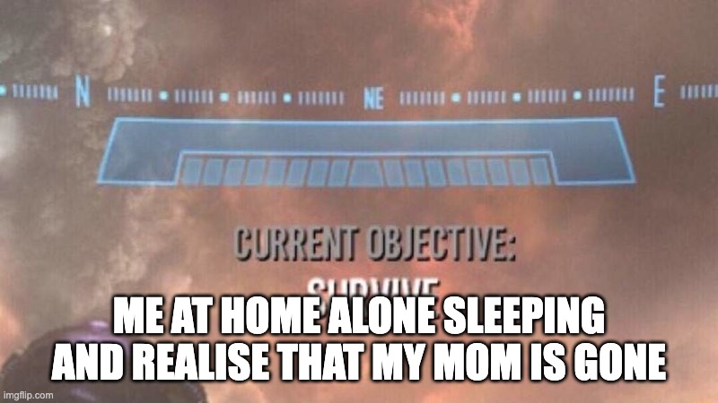 Current Objective: Survive | ME AT HOME ALONE SLEEPING AND REALISE THAT MY MOM IS GONE | image tagged in current objective survive | made w/ Imgflip meme maker
