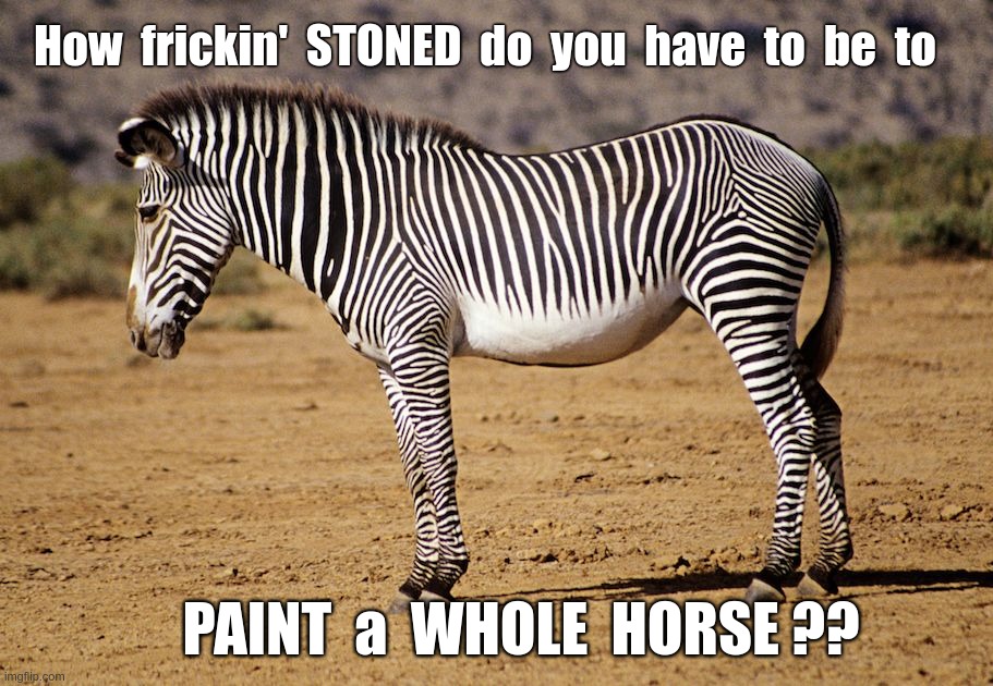 Where Can I Get Some of That? | How  frickin'  STONED  do  you  have  to  be  to; PAINT  a  WHOLE  HORSE ?? | image tagged in stoner,don't do drugs,zebra,rick75230 | made w/ Imgflip meme maker