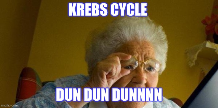 Calvin Cycle | KREBS CYCLE; DUN DUN DUNNNN | image tagged in calvin cycle | made w/ Imgflip meme maker