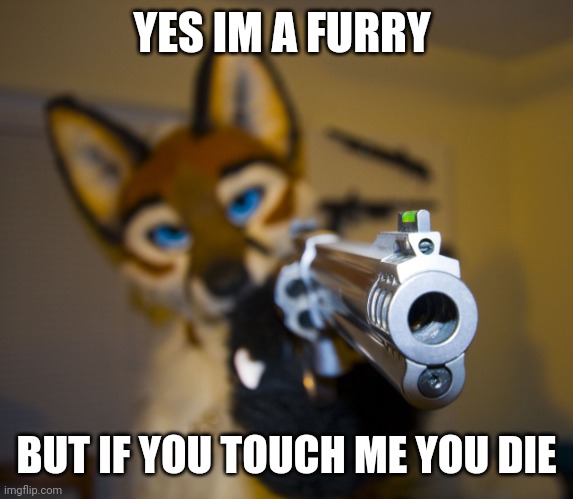 No touching | YES IM A FURRY; BUT IF YOU TOUCH ME YOU DIE | image tagged in furry with gun | made w/ Imgflip meme maker