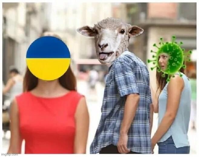ShEePlE tHaT fOlLoW tHe NeWs | image tagged in sheeple that follow the news and care about stuff,sheeple,that,follow,the,news | made w/ Imgflip meme maker