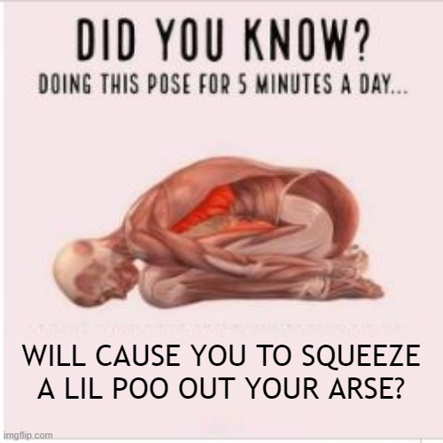 How Helpful | WILL CAUSE YOU TO SQUEEZE A LIL POO OUT YOUR ARSE? | image tagged in parody | made w/ Imgflip meme maker