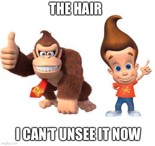 THE HAIR; I CAN’T UNSEE IT NOW | image tagged in blank white template | made w/ Imgflip meme maker