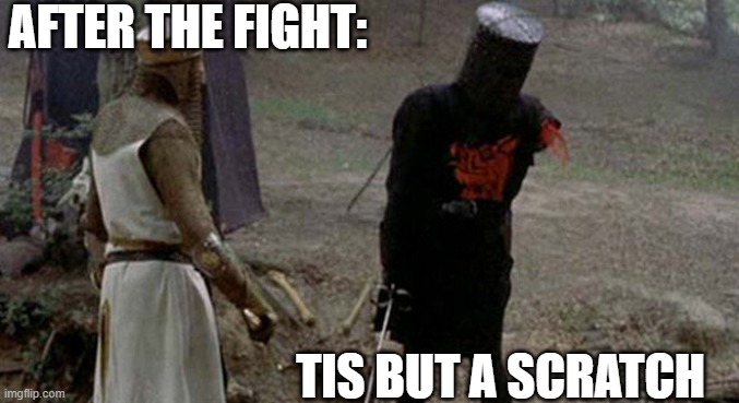Tis but a scratch | AFTER THE FIGHT: TIS BUT A SCRATCH | image tagged in tis but a scratch | made w/ Imgflip meme maker