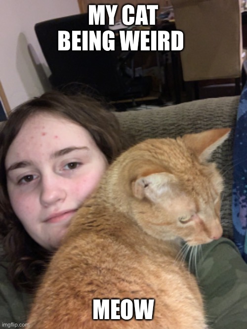 Meow | MY CAT BEING WEIRD; MEOW | made w/ Imgflip meme maker