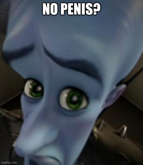 Sad Megamind | NO PENIS? | image tagged in no bitches | made w/ Imgflip meme maker