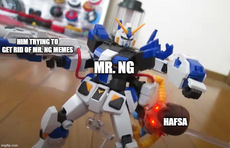 HIM TRYING TO GET RID OF MR. NG MEMES; MR. NG; HAFSA | made w/ Imgflip meme maker