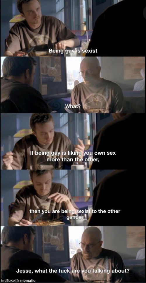 Being Gay is Sexist | image tagged in being gay is sexist | made w/ Imgflip meme maker