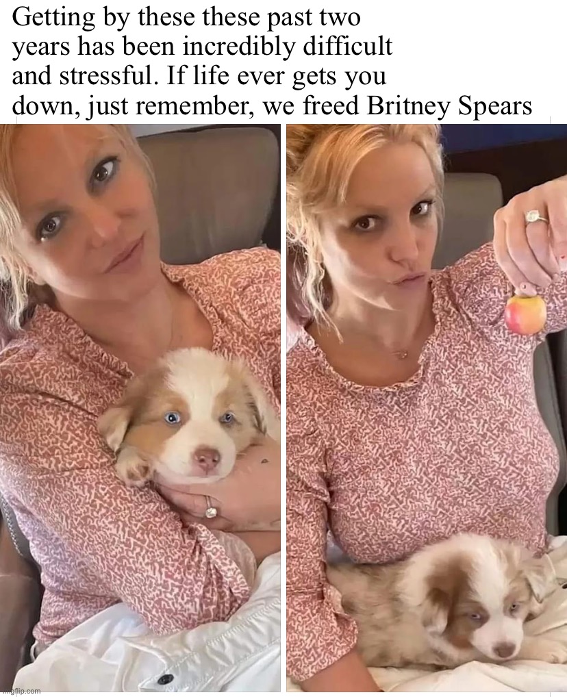 Political ideology lesson: #FreeBritneyism — Seeks to abolish the police state but only as it impacts Britney Spears. [Centrist] | Getting by these these past two years has been incredibly difficult and stressful. If life ever gets you down, just remember, we freed Britney Spears | image tagged in britney spears dog,free britney,freebritney,britney spears,britney,leave britney alone | made w/ Imgflip meme maker