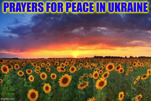 Ukrainian sunflowers, praying for peace | PRAYERS FOR PEACE IN UKRAINE | image tagged in ukraine,peace,sunflower,prayers,sunset | made w/ Imgflip meme maker