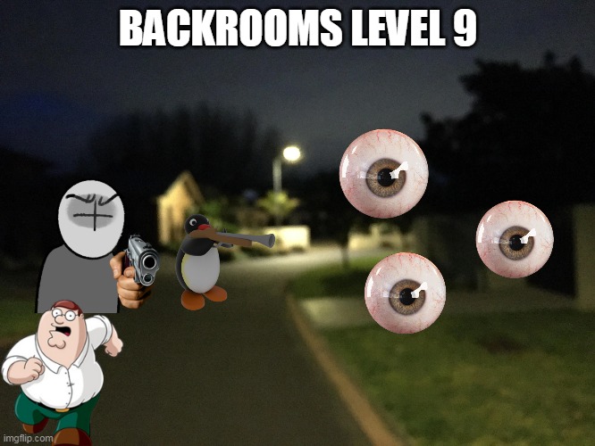 BACKROOMS LEVEL 9 | made w/ Imgflip meme maker