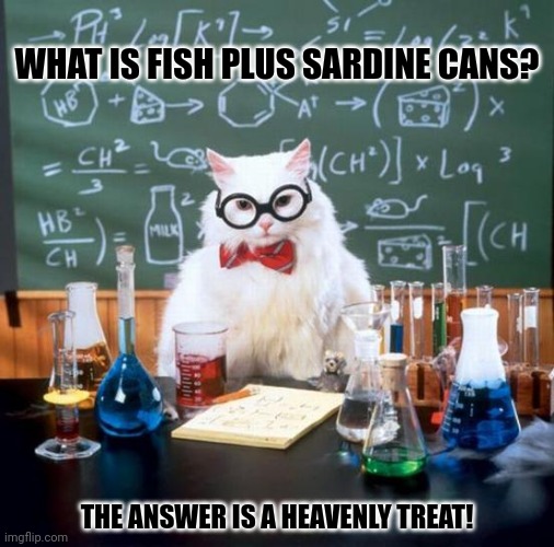 Chemistry Cat | WHAT IS FISH PLUS SARDINE CANS? THE ANSWER IS A HEAVENLY TREAT! | image tagged in memes,kitty,fishery | made w/ Imgflip meme maker