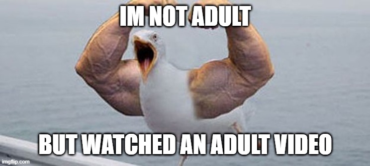 strong bird | IM NOT ADULT; BUT WATCHED AN ADULT VIDEO | image tagged in strong bird | made w/ Imgflip meme maker