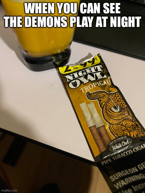 Classic | WHEN YOU CAN SEE THE DEMONS PLAY AT NIGHT | image tagged in hoot hoot | made w/ Imgflip meme maker