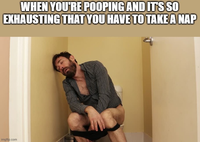 When You're Pooping and It's So Exhausting |  WHEN YOU'RE POOPING AND IT'S SO EXHAUSTING THAT YOU HAVE TO TAKE A NAP | image tagged in pooping,nap,toilet,funny,memes,toilet humor | made w/ Imgflip meme maker