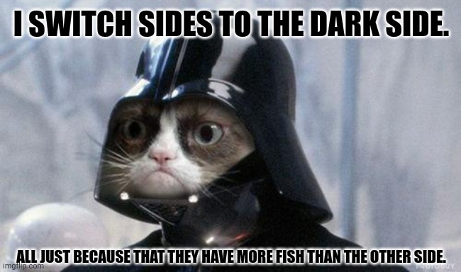 Grumpy Cat Star Wars | I SWITCH SIDES TO THE DARK SIDE. ALL JUST BECAUSE THAT THEY HAVE MORE FISH THAN THE OTHER SIDE. | image tagged in memes,kitty,forceful | made w/ Imgflip meme maker