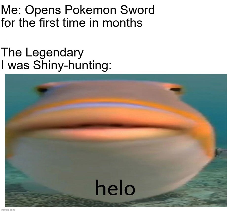 helo fish | Me: Opens Pokemon Sword for the first time in months; The Legendary I was Shiny-hunting: | image tagged in helo fish | made w/ Imgflip meme maker