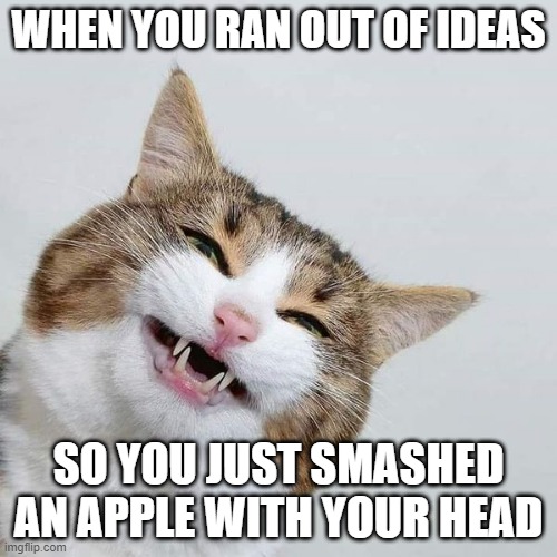 LOL helo The_Loner | WHEN YOU RAN OUT OF IDEAS; SO YOU JUST SMASHED AN APPLE WITH YOUR HEAD | image tagged in happy cat,memes,msmg | made w/ Imgflip meme maker