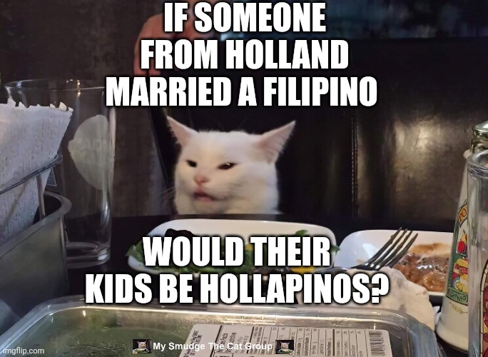  IF SOMEONE FROM HOLLAND MARRIED A FILIPINO; WOULD THEIR KIDS BE HOLLAPINOS? | image tagged in smudge the cat,smudge | made w/ Imgflip meme maker